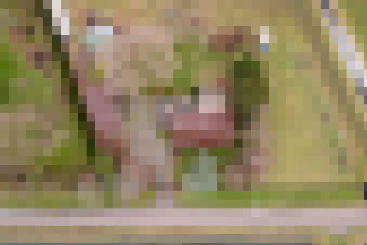 Woudseweg 4 b Tinte thumbnail 8