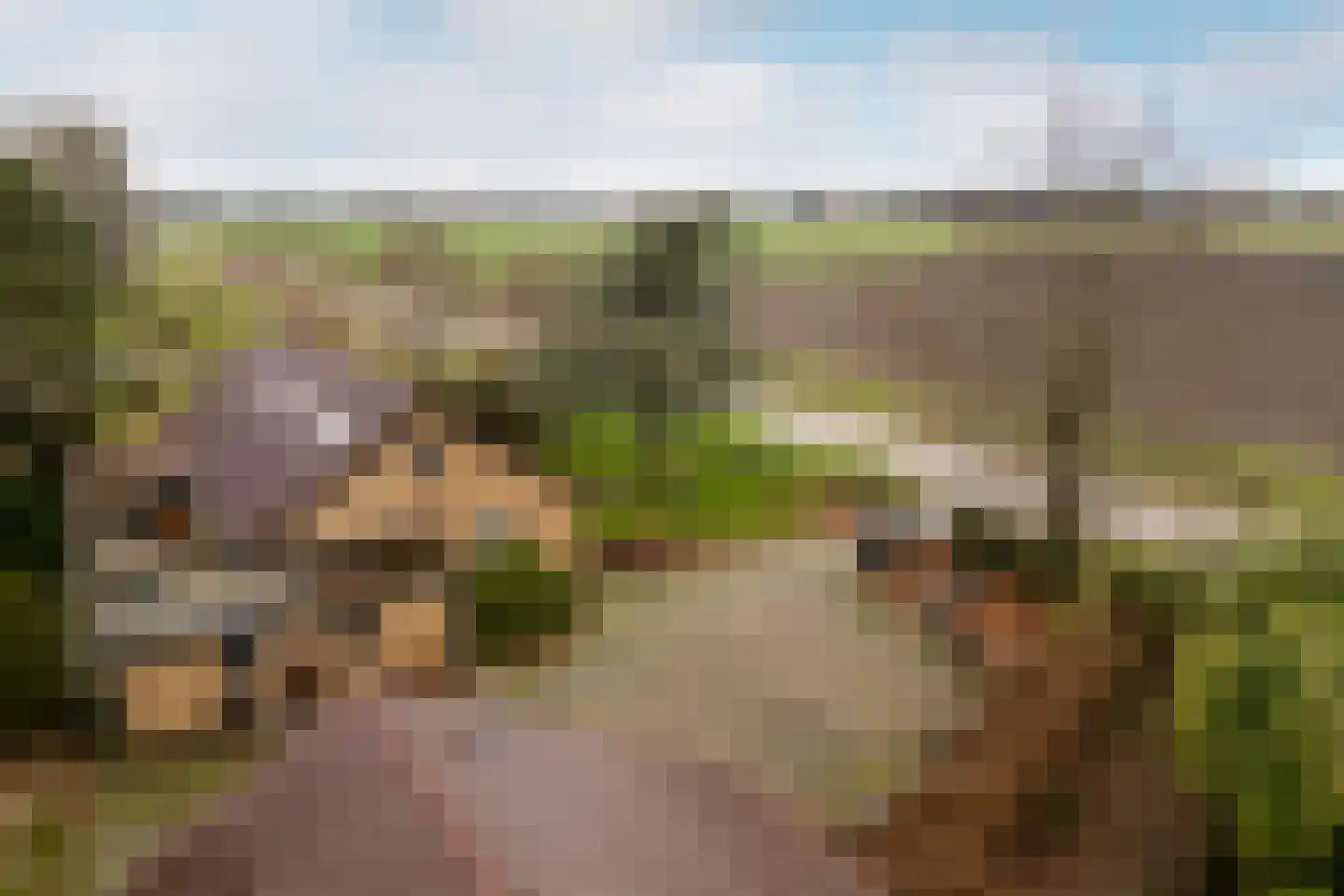 Woudseweg 4 b Tinte thumbnail 9