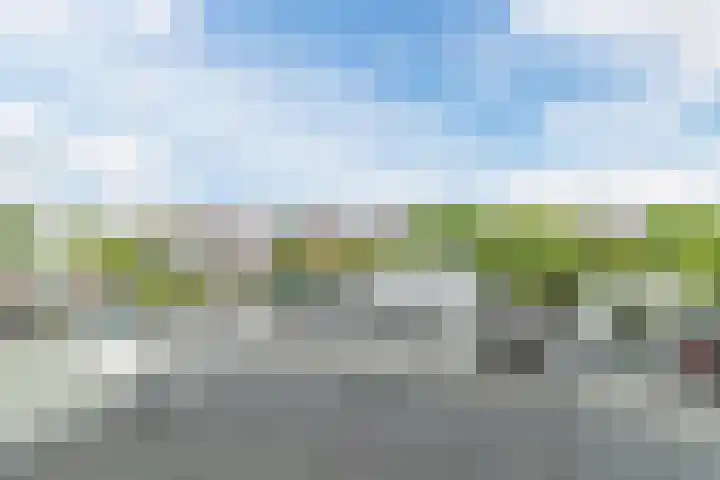 Woudseweg 46 Den Hoorn thumbnail 32