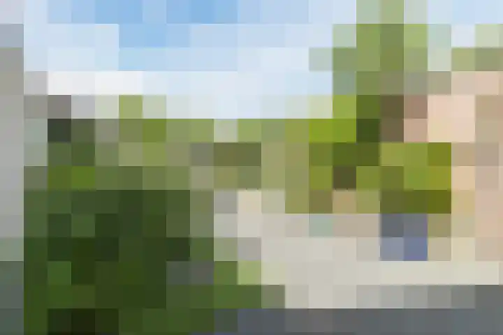 Woudseweg 46 Den Hoorn thumbnail 42