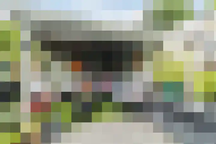 Woudseweg 46 Den Hoorn thumbnail 43