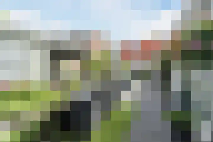 Woudseweg 46 Den Hoorn thumbnail 44