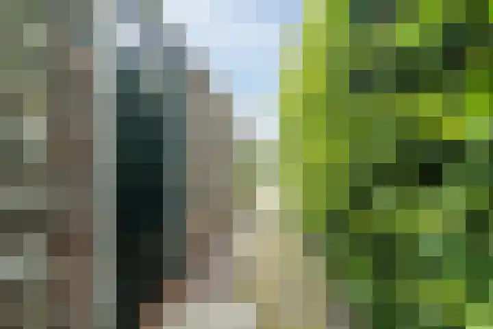 Woudseweg 46 Den Hoorn thumbnail 47