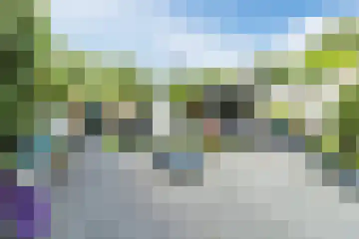 Woudseweg 46 Den Hoorn thumbnail 6