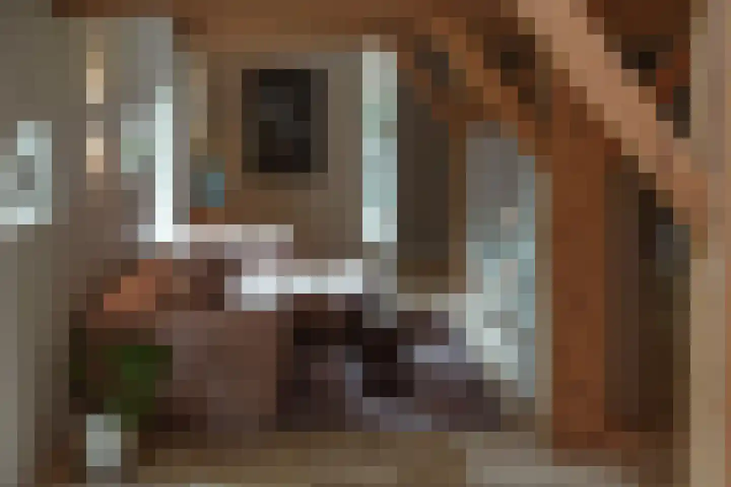 Woudseweg 7 A Den Dungen thumbnail 11