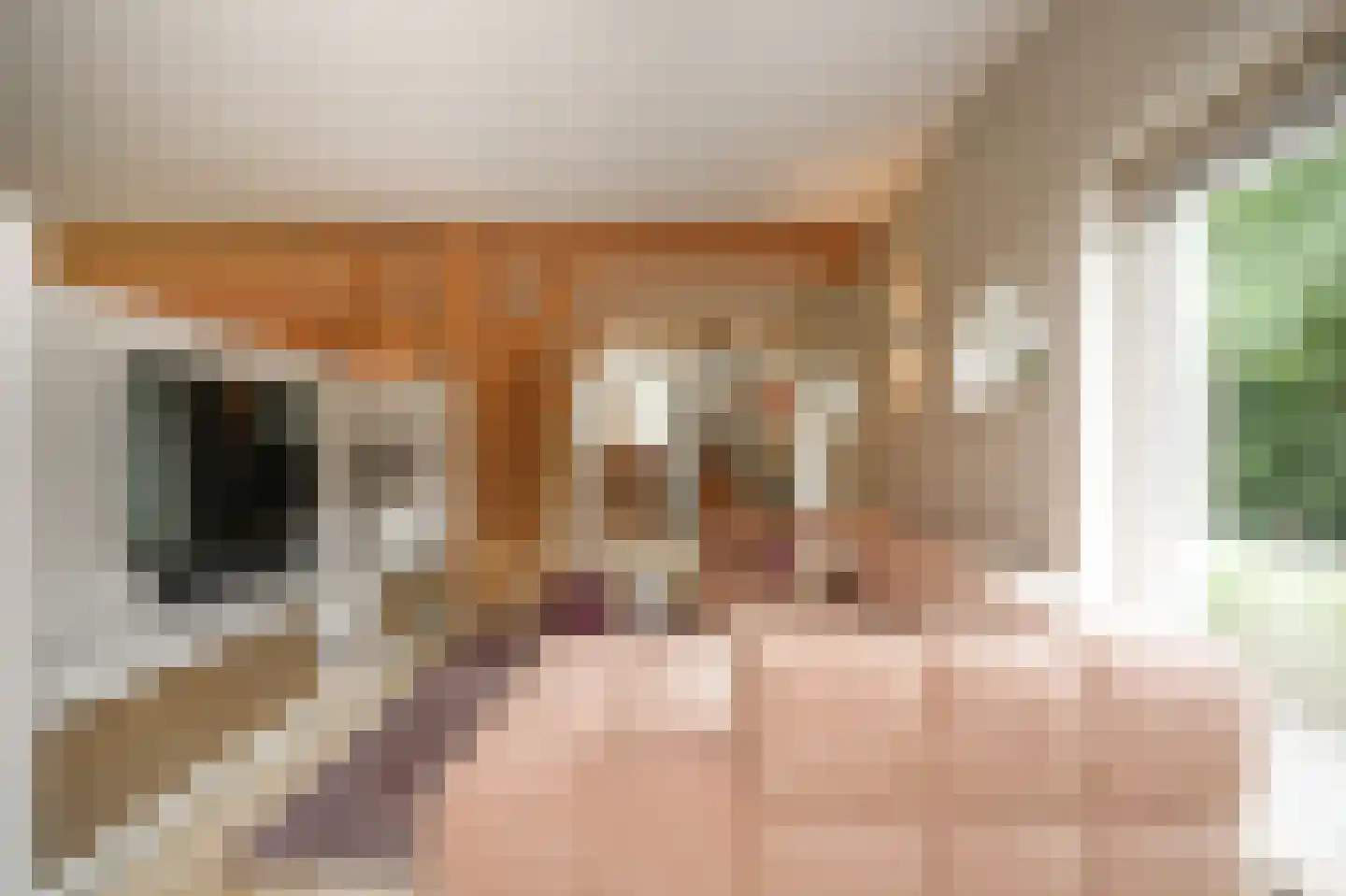 Woudseweg 7 A Den Dungen thumbnail 12