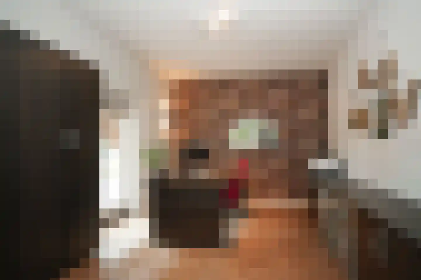 Woudseweg 7 A Den Dungen thumbnail 17