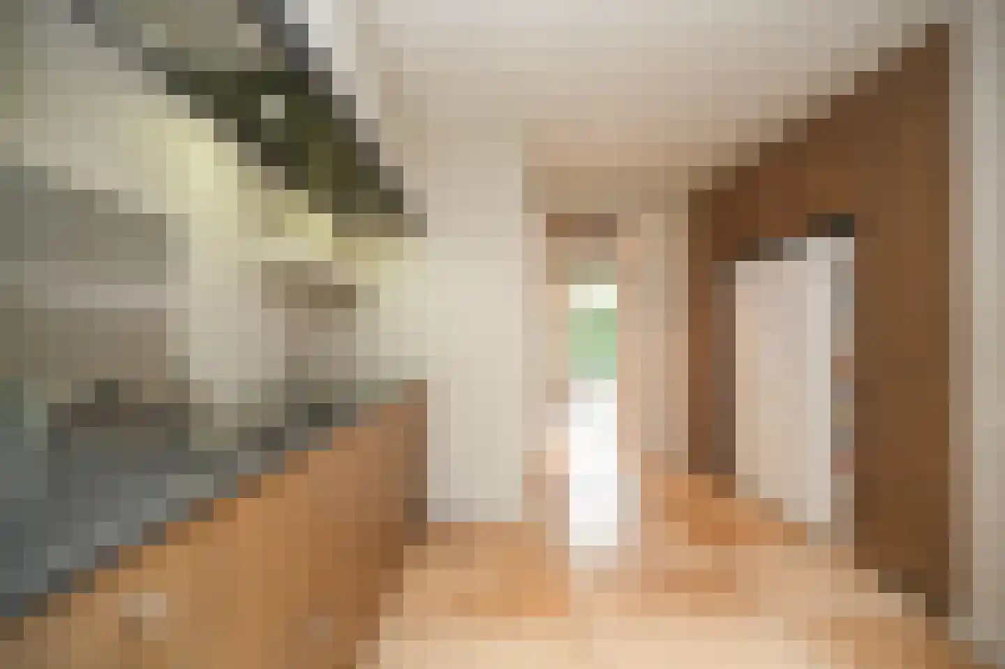 Woudseweg 7 A Den Dungen thumbnail 19