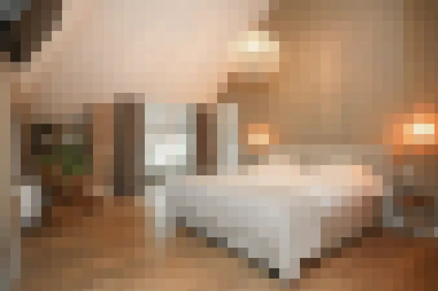 Woudseweg 7 A Den Dungen thumbnail 24