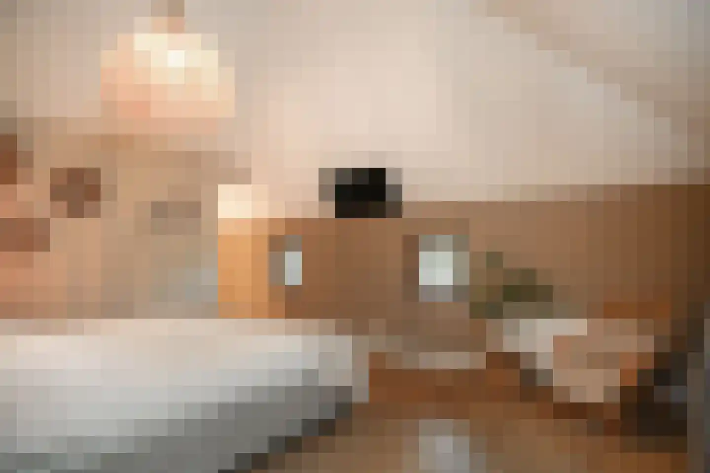Woudseweg 7 A Den Dungen thumbnail 25