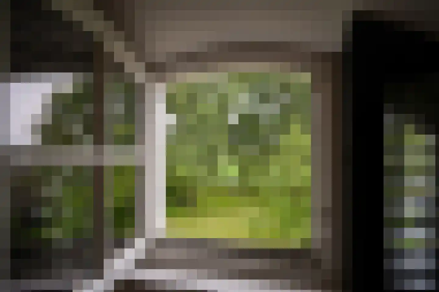Woudseweg 7 A Den Dungen thumbnail 29