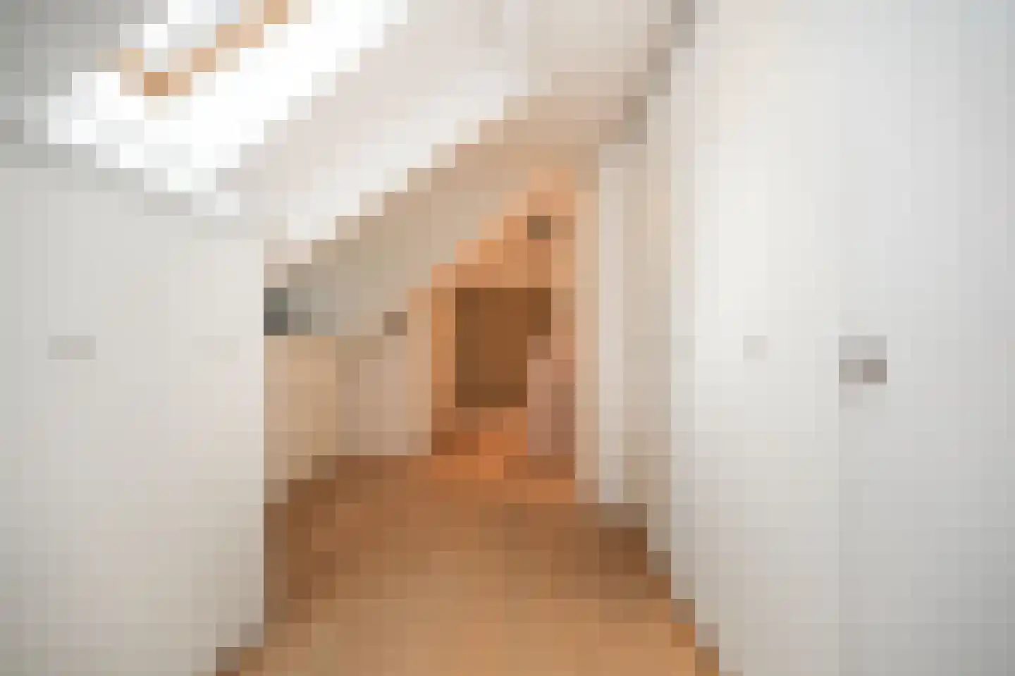 Woudseweg 7 A Den Dungen thumbnail 30