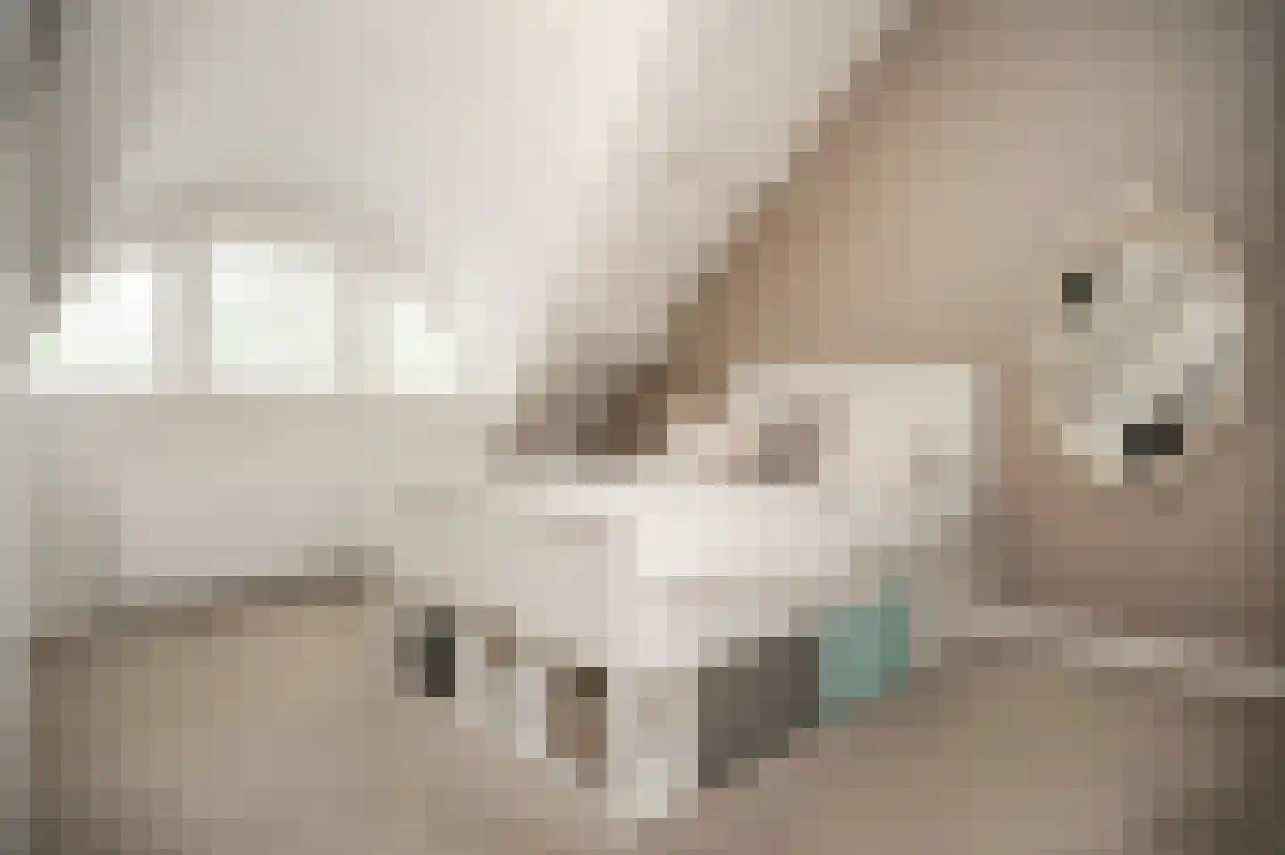 Woudseweg 7 A Den Dungen thumbnail 32