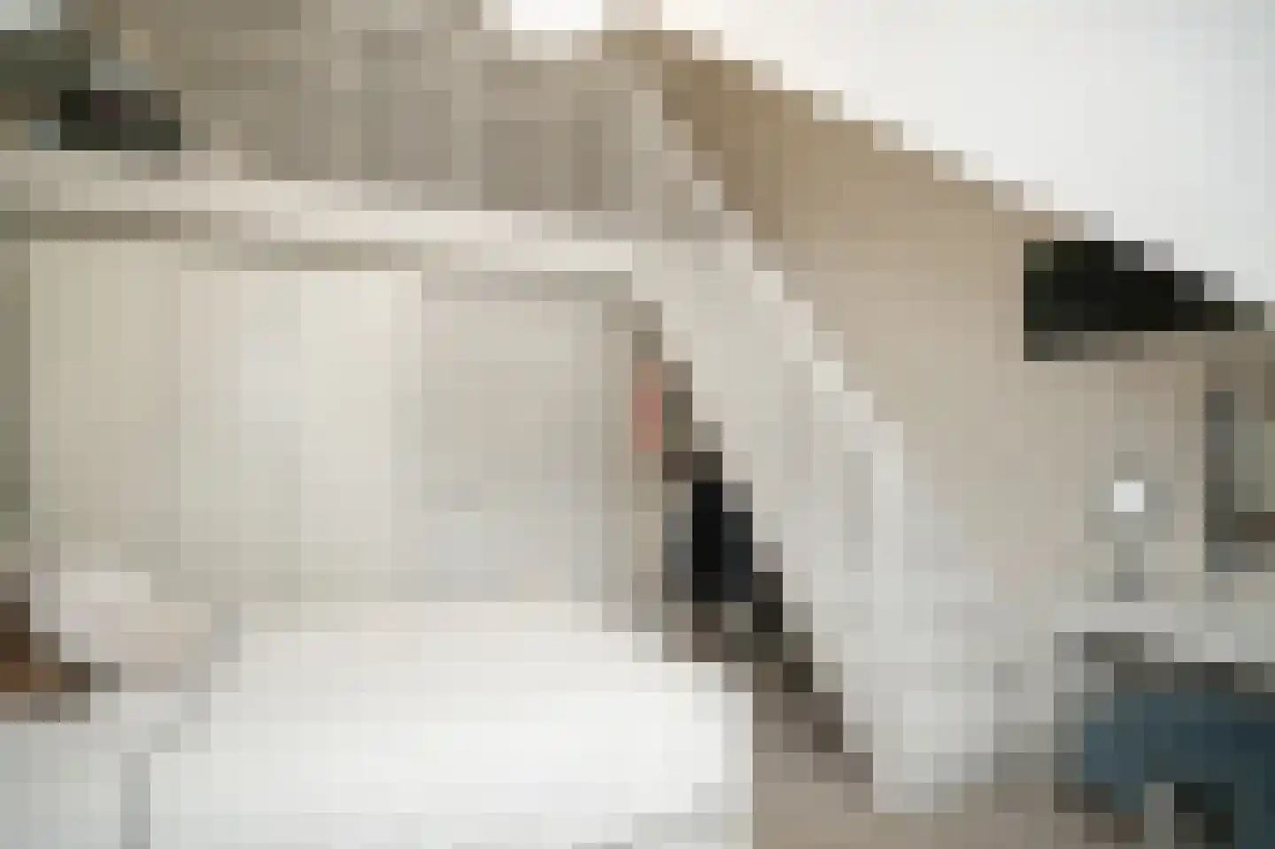 Woudseweg 7 A Den Dungen thumbnail 33