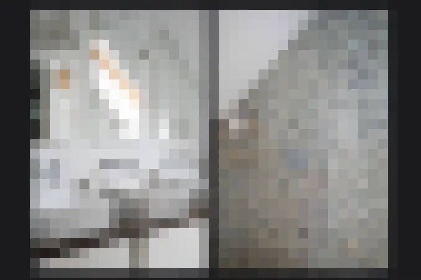 Woudseweg 7 A Den Dungen thumbnail 34