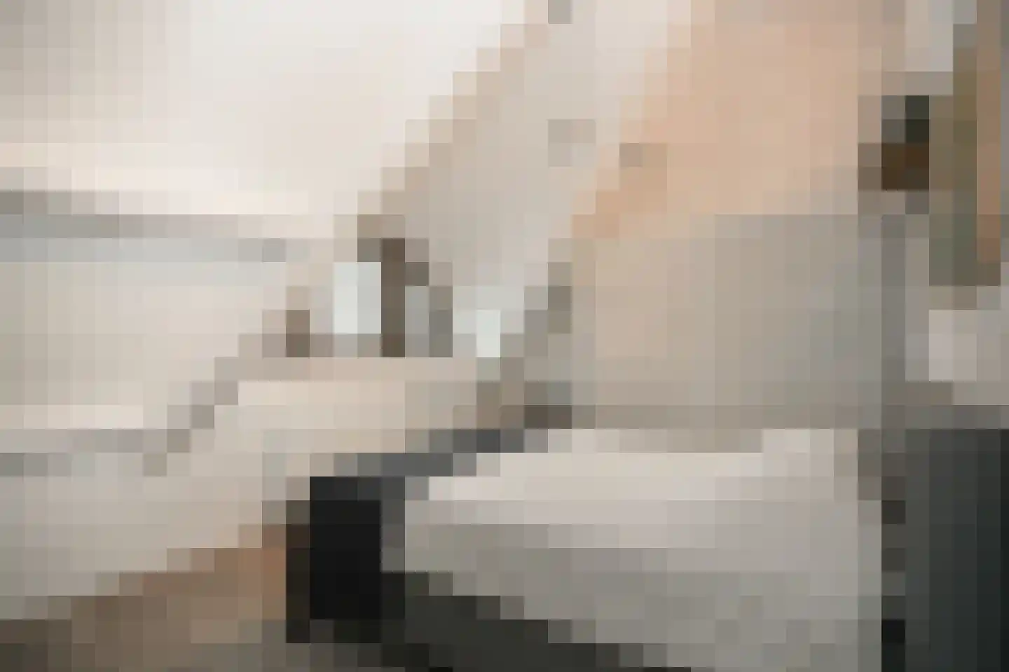 Woudseweg 7 A Den Dungen thumbnail 37