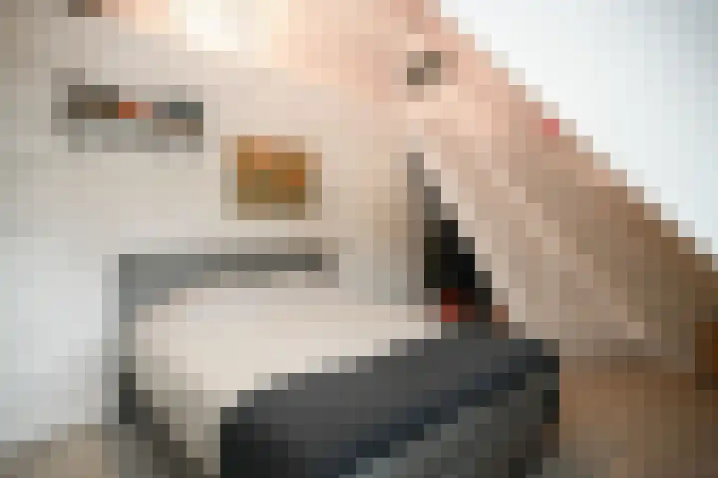 Woudseweg 7 A Den Dungen thumbnail 38