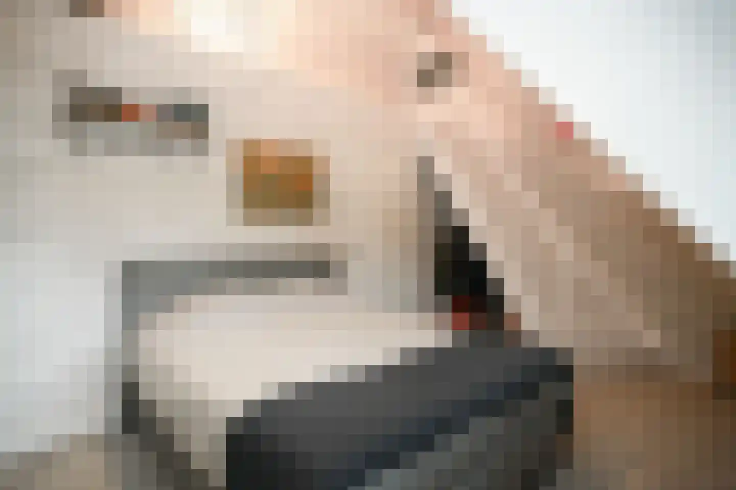 Woudseweg 7 A Den Dungen thumbnail 40