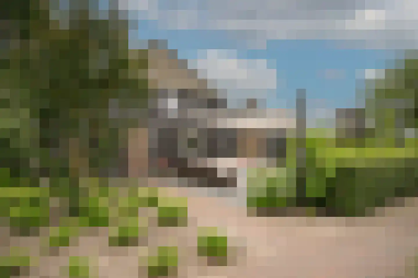 Woudseweg 7 A Den Dungen thumbnail 43