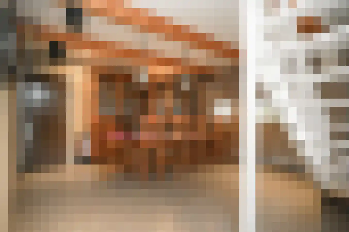 Woudseweg 7 A Den Dungen thumbnail 44
