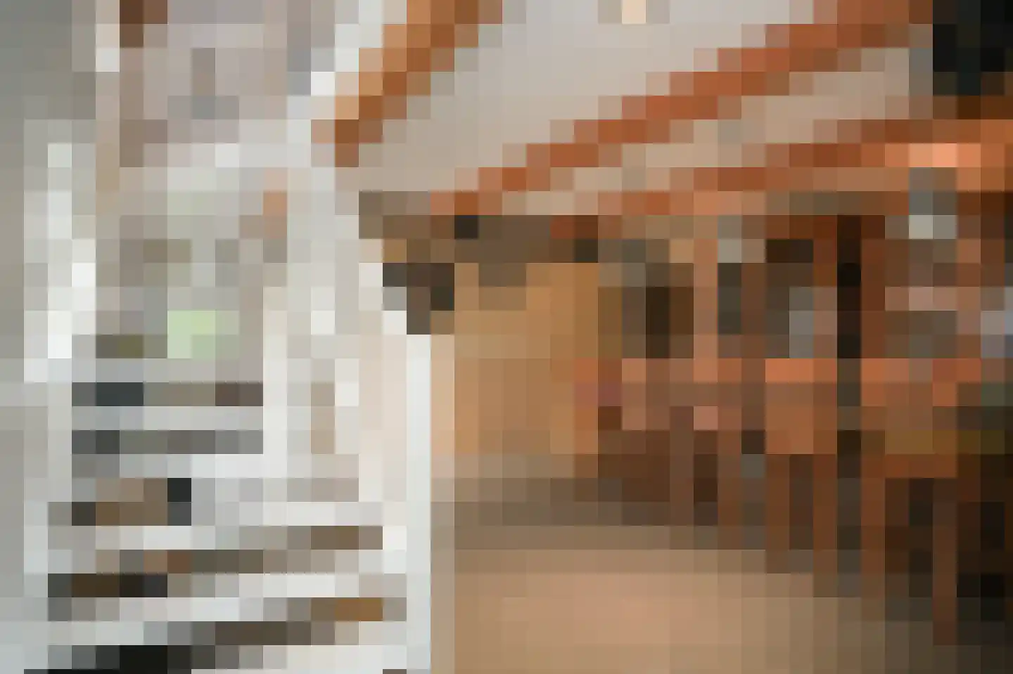 Woudseweg 7 A Den Dungen thumbnail 45