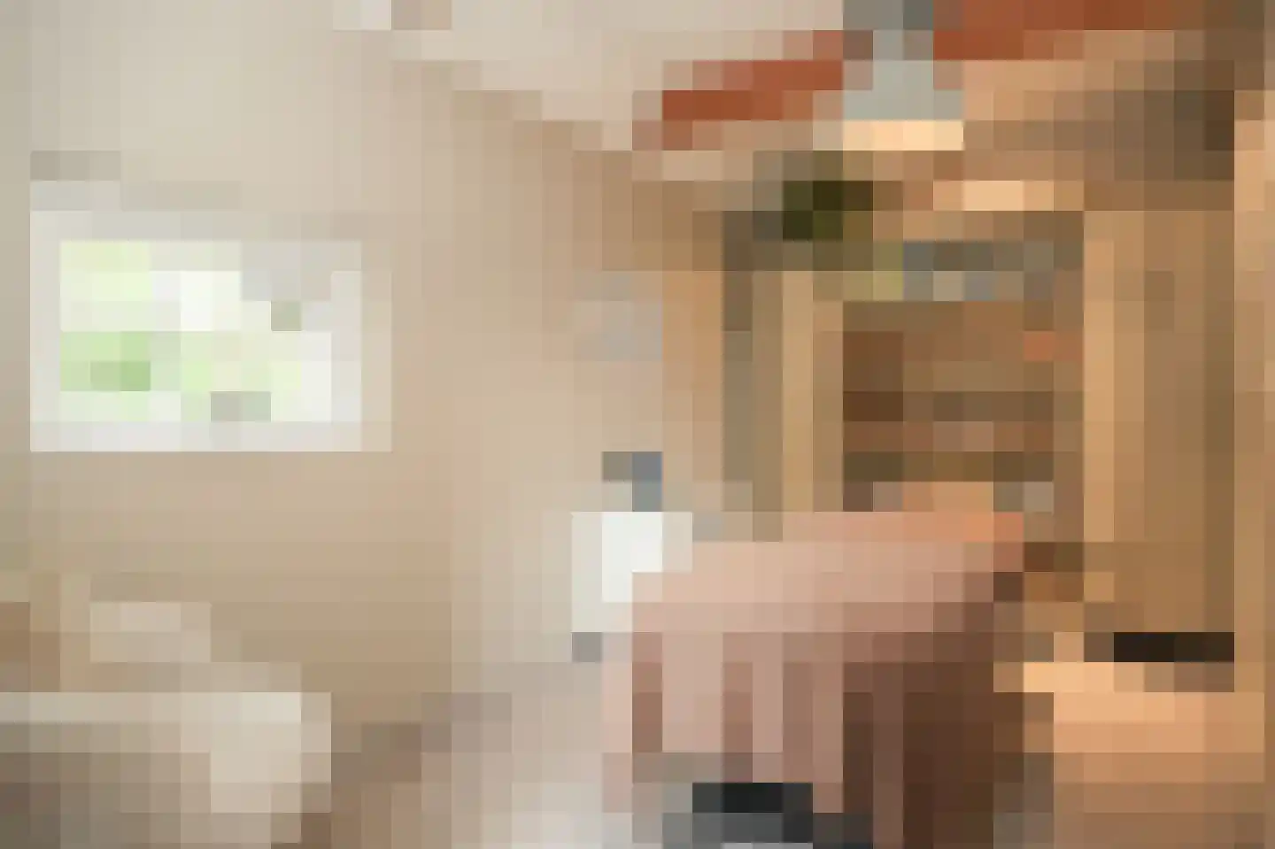 Woudseweg 7 A Den Dungen thumbnail 46