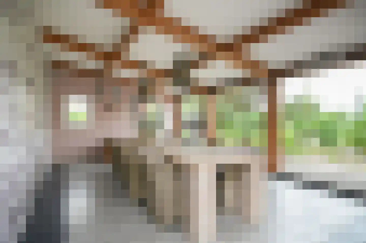 Woudseweg 7 A Den Dungen thumbnail 47