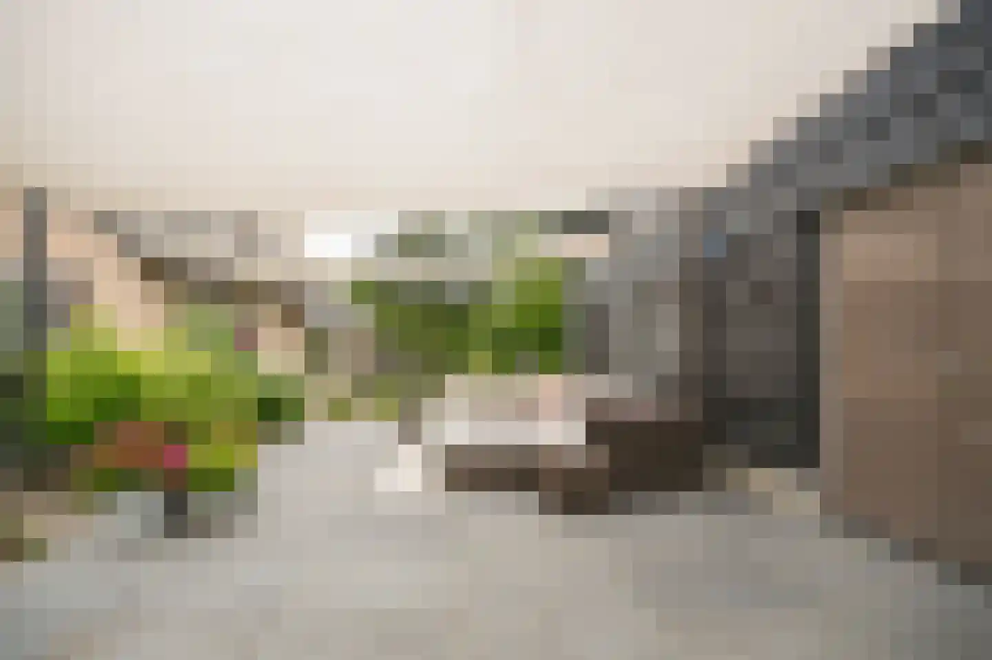Woudseweg 7 A Den Dungen thumbnail 49