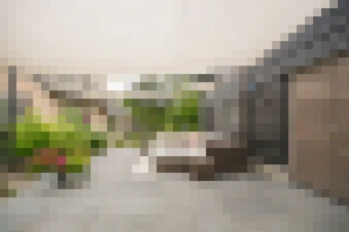 Woudseweg 7 A Den Dungen thumbnail 50