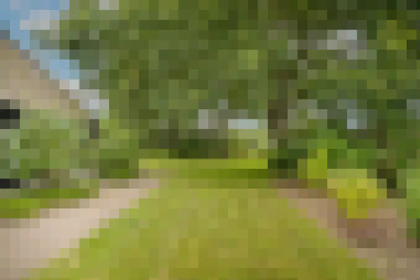 Woudseweg 7 A Den Dungen thumbnail 52
