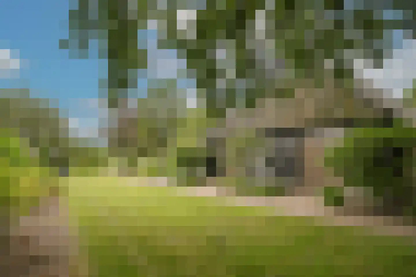 Woudseweg 7 A Den Dungen thumbnail 53