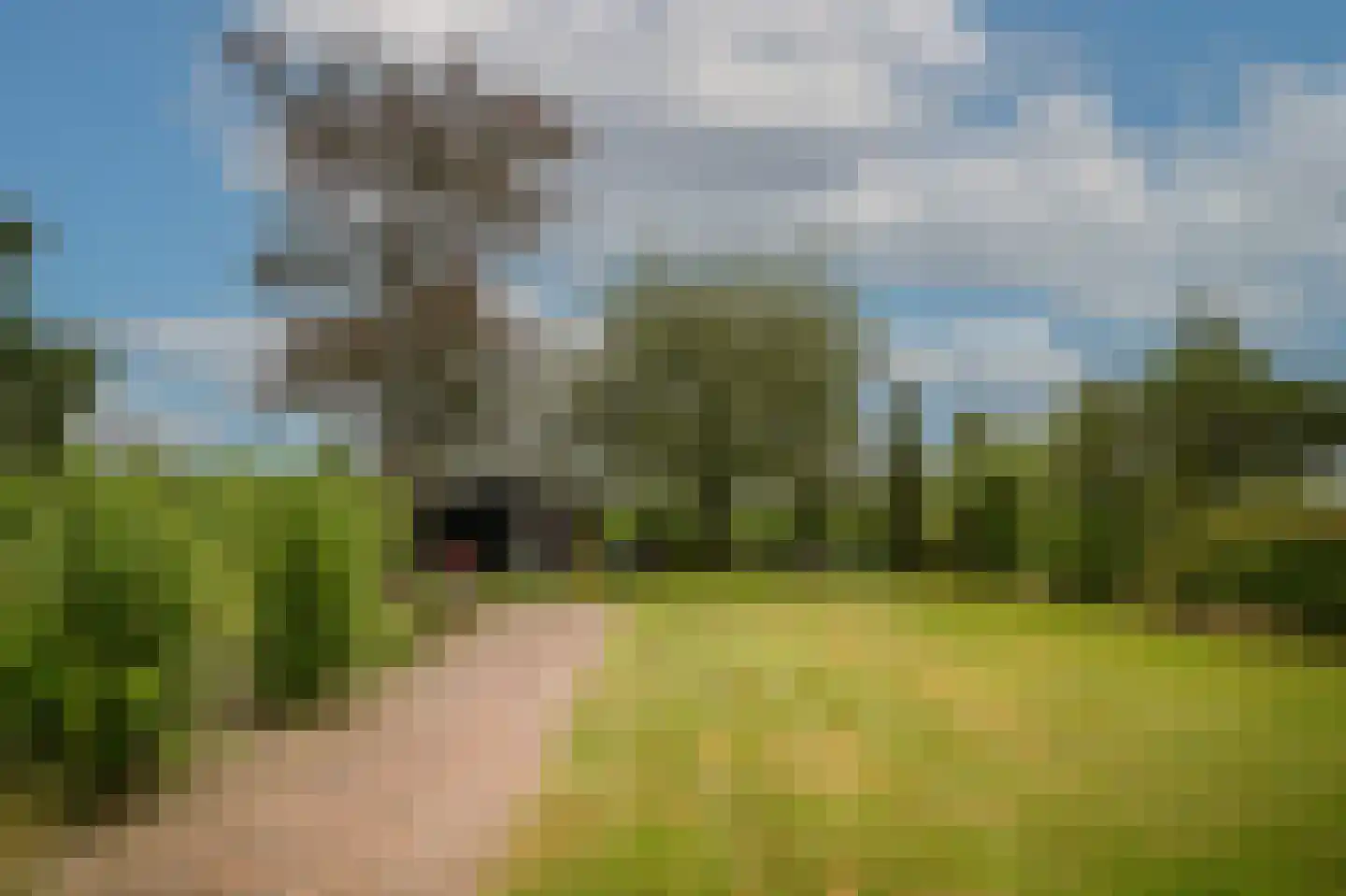 Woudseweg 7 A Den Dungen thumbnail 54