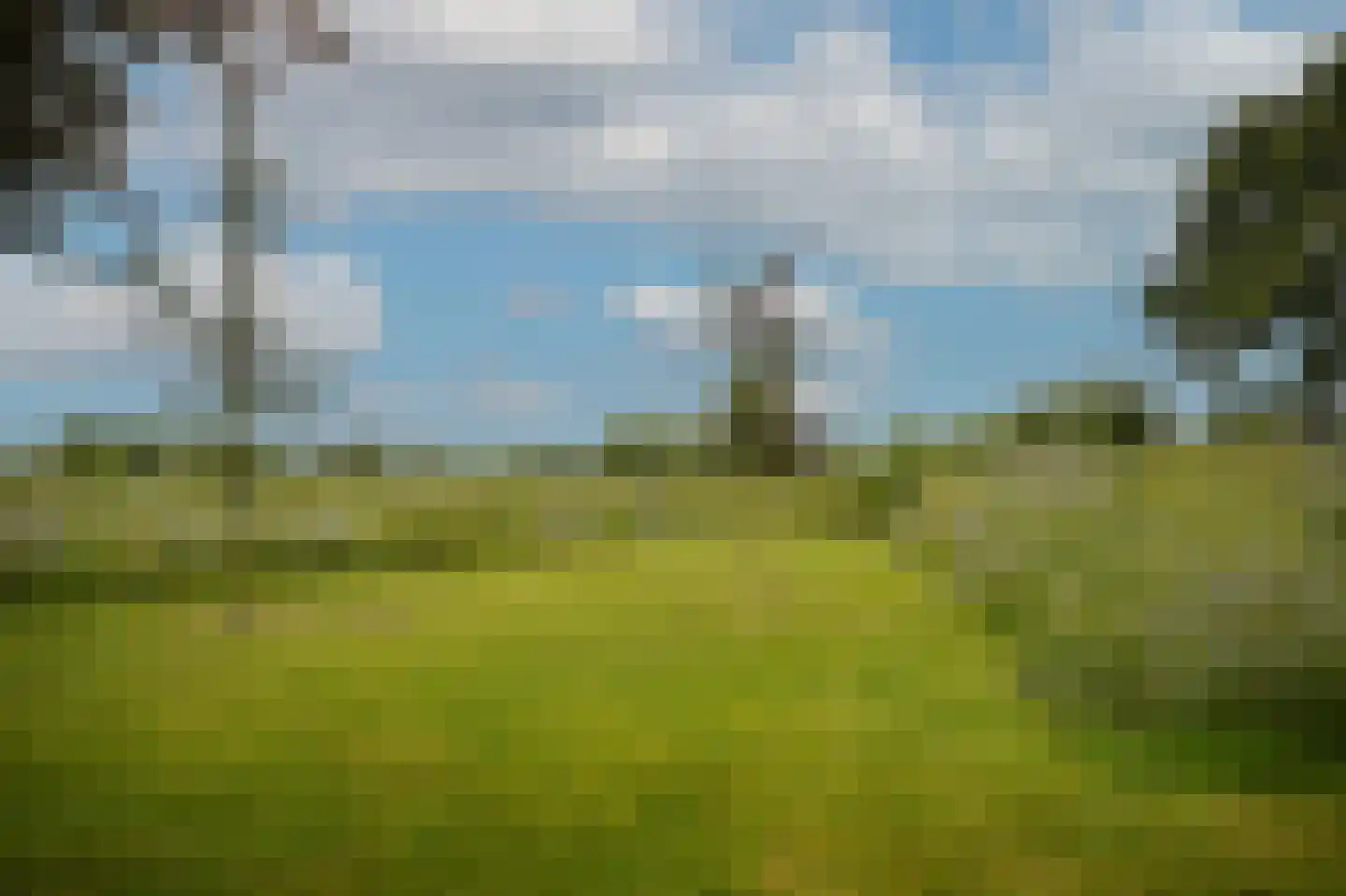 Woudseweg 7 A Den Dungen thumbnail 55