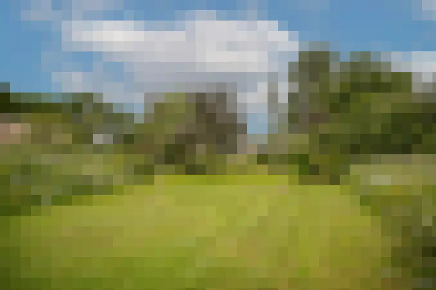 Woudseweg 7 A Den Dungen thumbnail 56