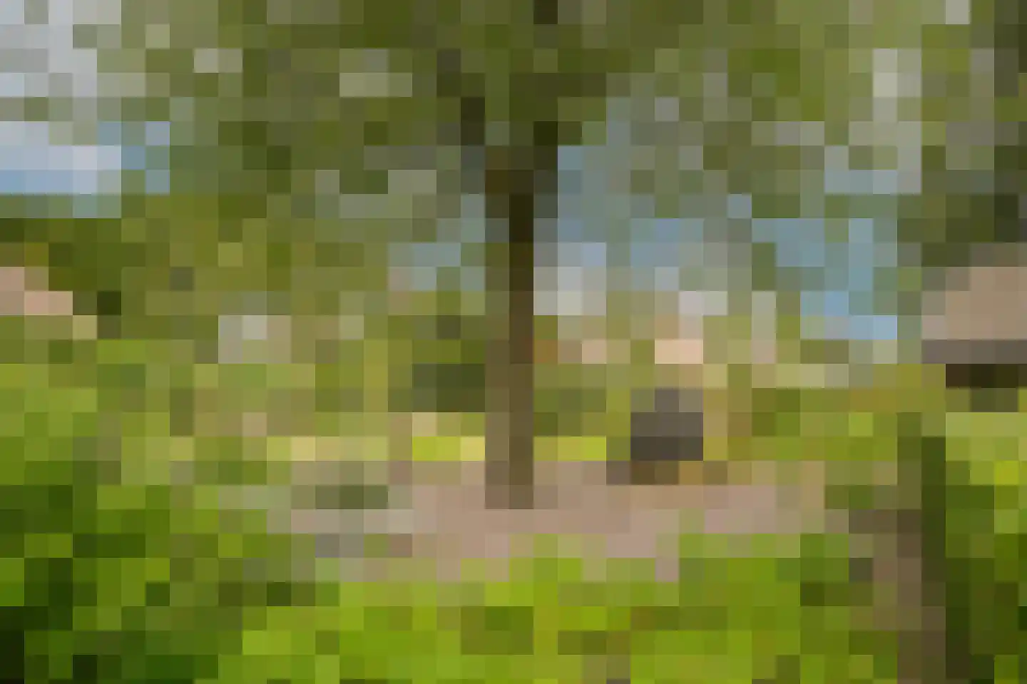 Woudseweg 7 A Den Dungen thumbnail 58