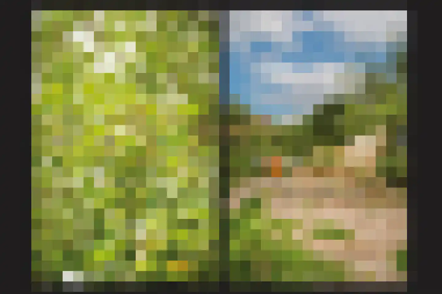 Woudseweg 7 A Den Dungen thumbnail 59