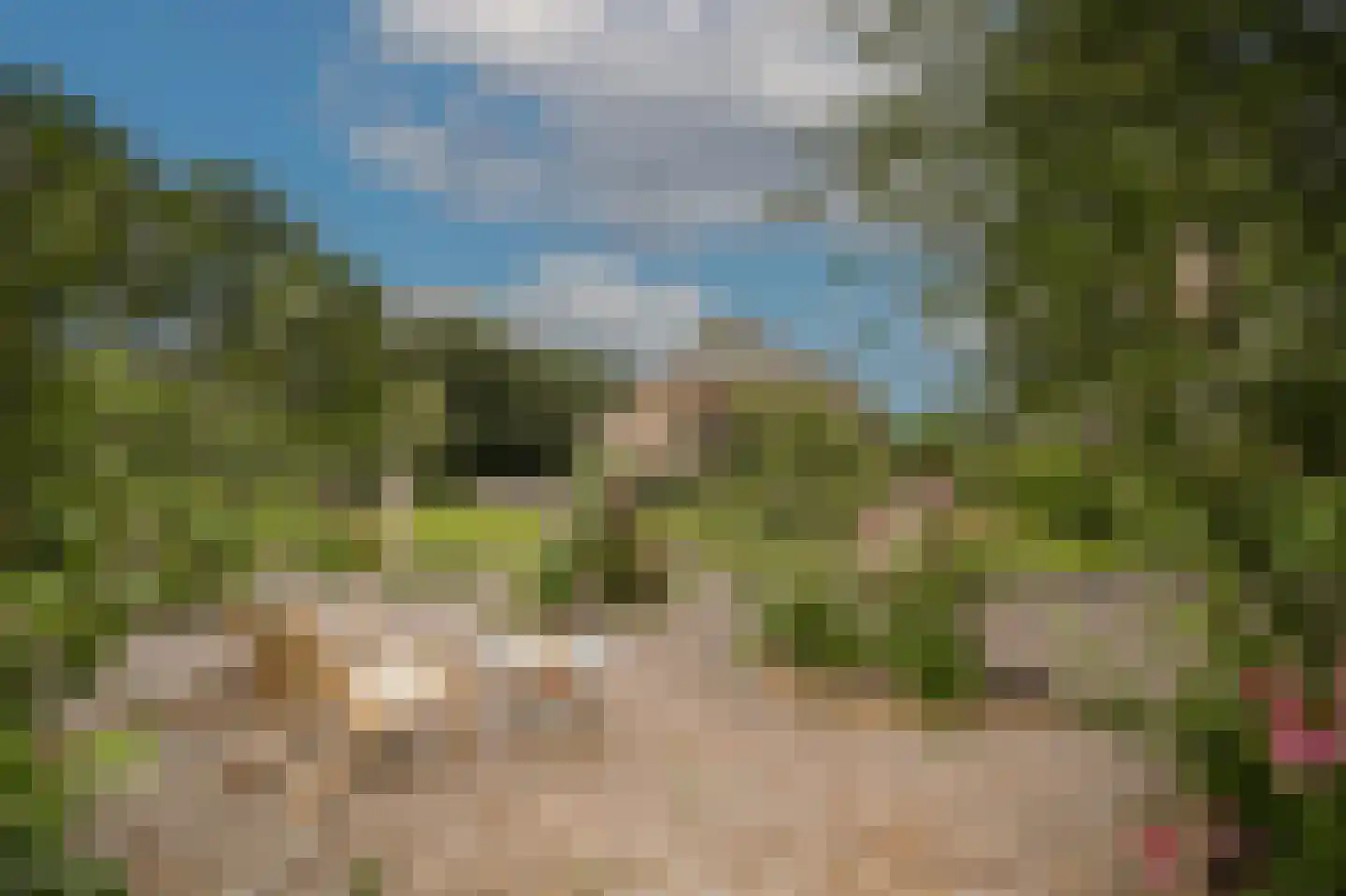 Woudseweg 7 A Den Dungen thumbnail 60