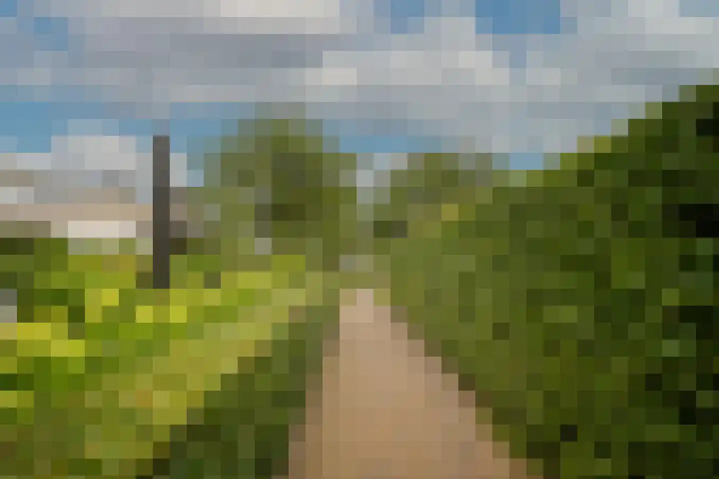 Woudseweg 7 A Den Dungen thumbnail 61