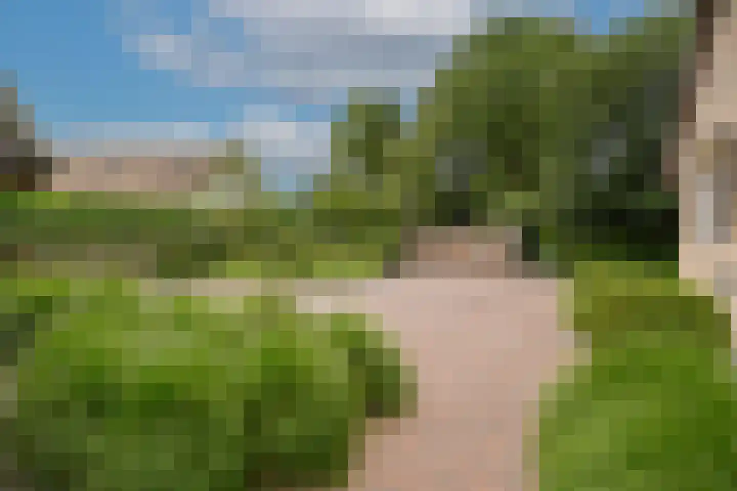 Woudseweg 7 A Den Dungen thumbnail 65