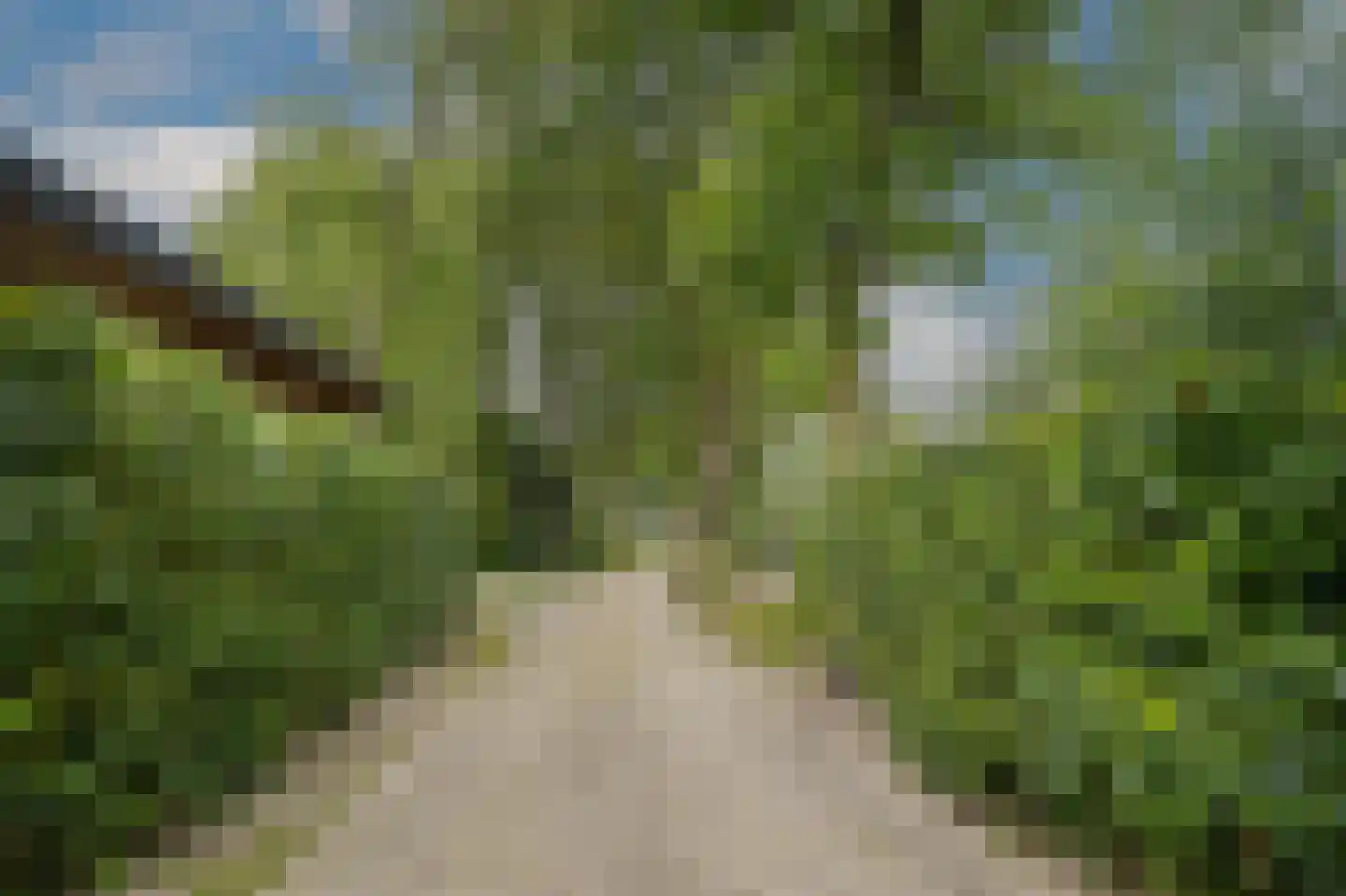 Woudseweg 7 A Den Dungen thumbnail 66