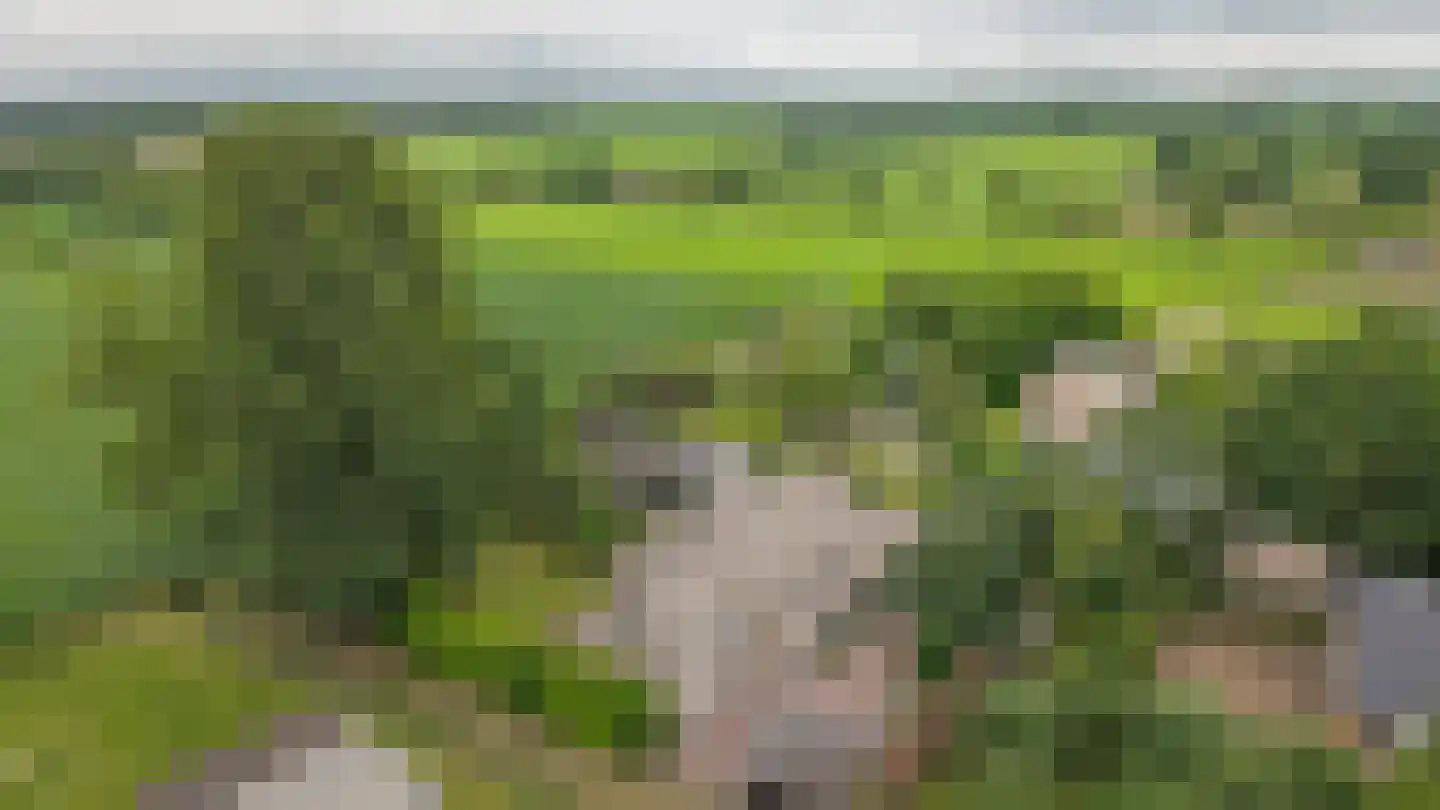 Woudseweg 7 A Den Dungen thumbnail 67