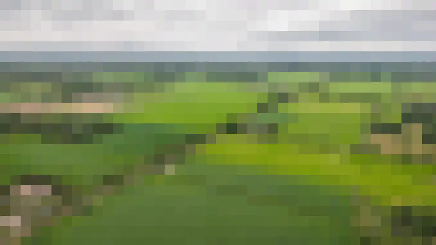 Woudseweg 7 A Den Dungen thumbnail 69