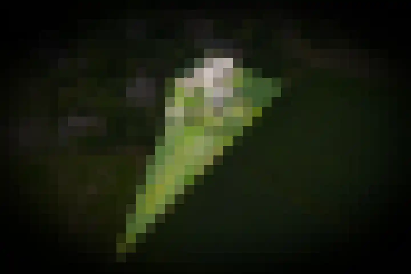 Woudseweg 7 A Den Dungen thumbnail 71