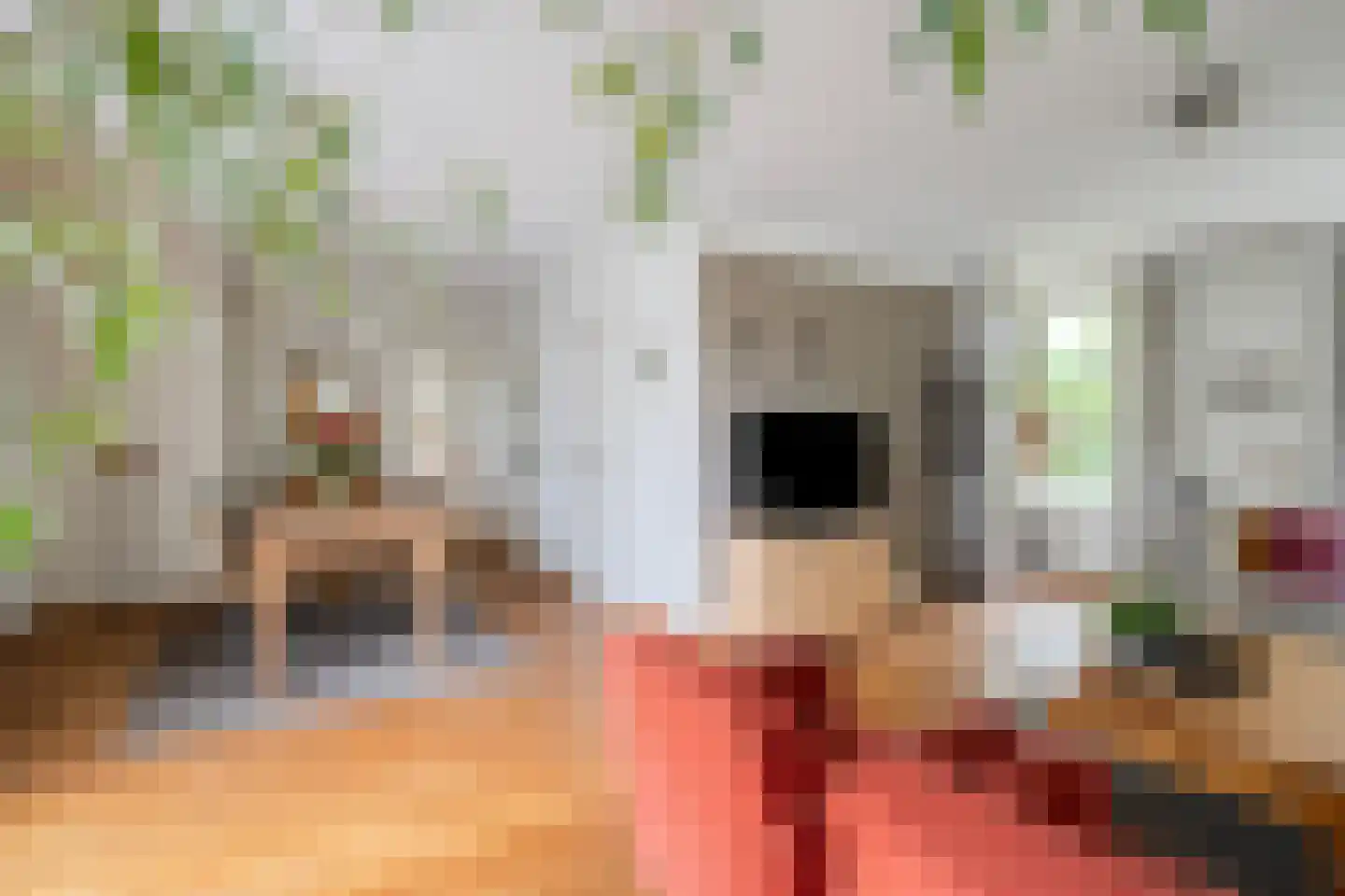 Woudseweg 7 Den Dungen thumbnail 11