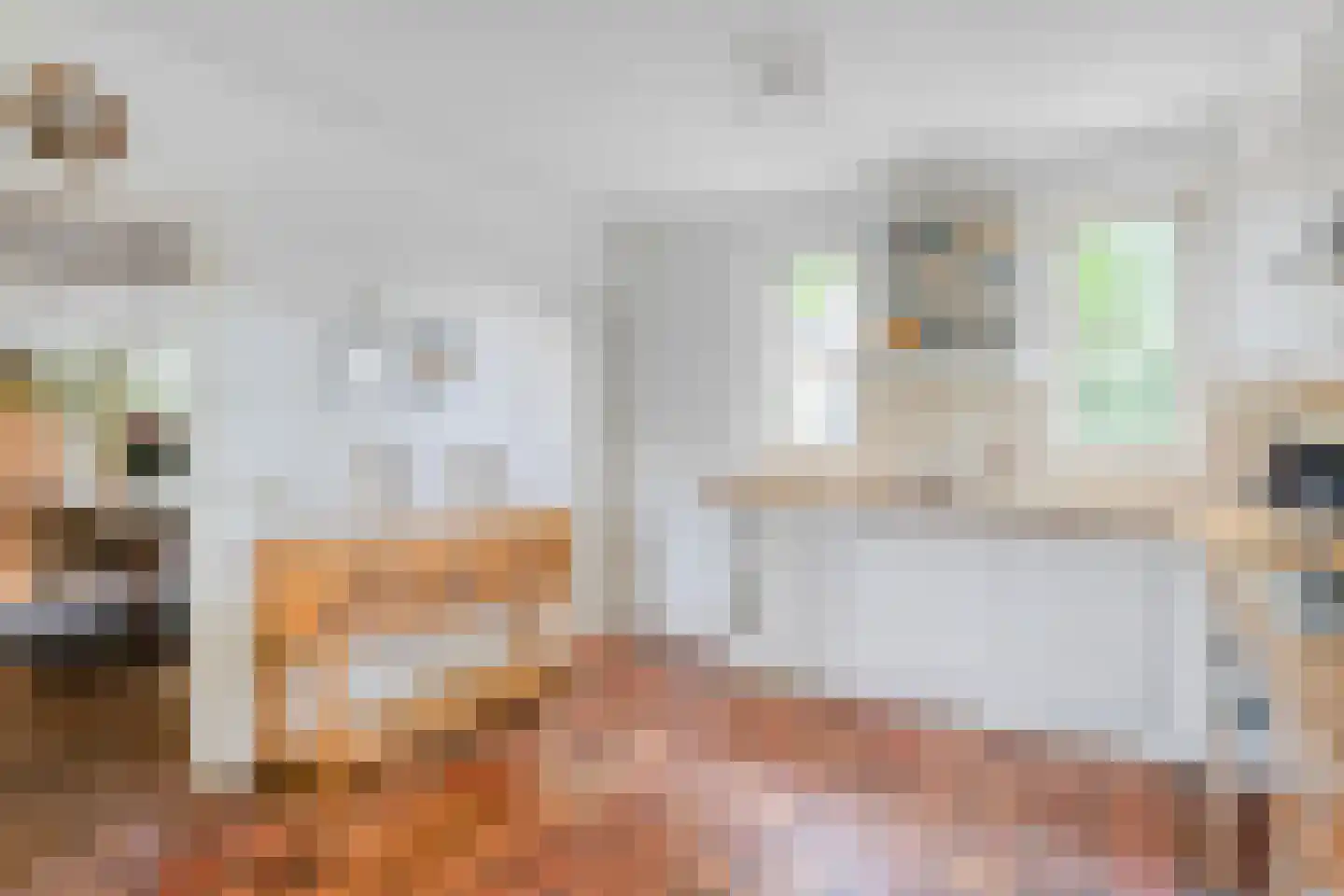 Woudseweg 7 Den Dungen thumbnail 15