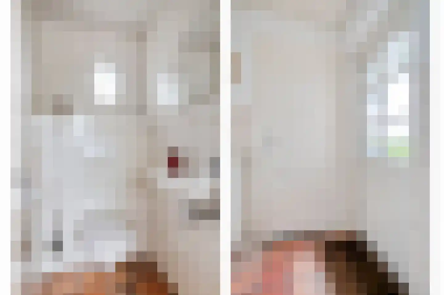 Woudseweg 7 Den Dungen thumbnail 16