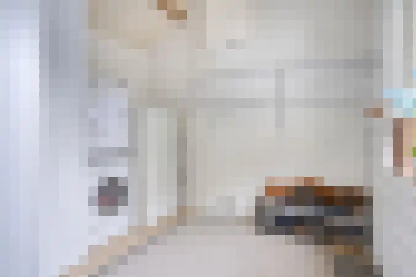 Woudseweg 7 Den Dungen thumbnail 17