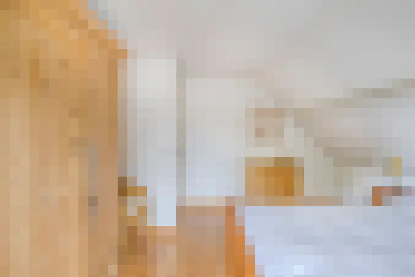 Woudseweg 7 Den Dungen thumbnail 21