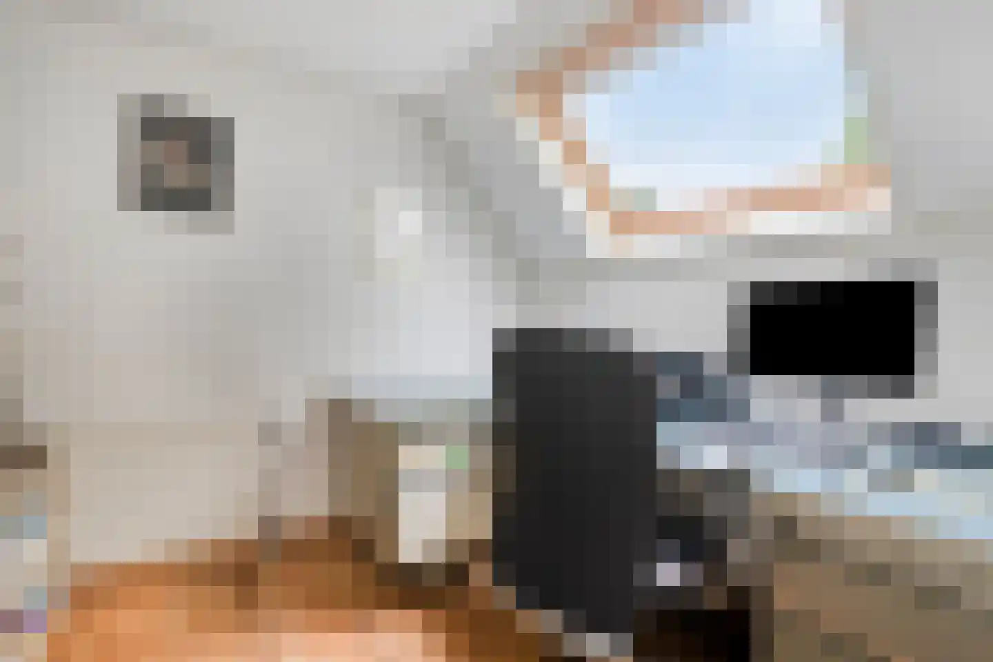 Woudseweg 7 Den Dungen thumbnail 29