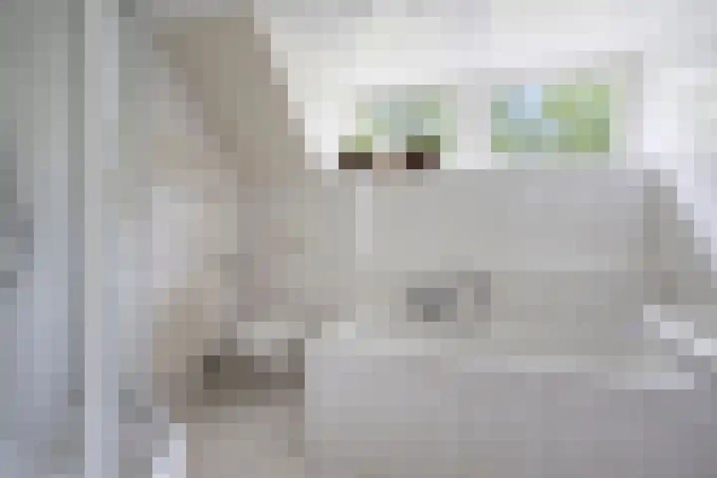 Woudseweg 7 Den Dungen thumbnail 30